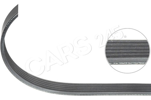 Ribbed belt for citroen - for,