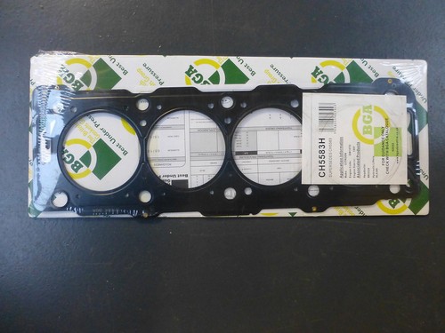 Cylinder head gasket for - cylinder,