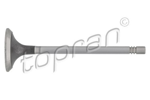 Exhaust valve for citroen - for, c5